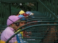 Carrera de caballos en el hipódromo de Lasarte