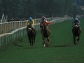 Carrera de caballos en el hipódromo de Lasarte