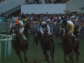 Carrera de caballos en el hipódromo de Lasarte