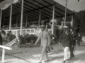 LOS REYES ALFONSO XIII, MARIA CRISTINA Y VICTORIA EUGENIA EN EL CIRCUITO AUTOMOVILISTICO DE LASARTE. (Foto 1/4)