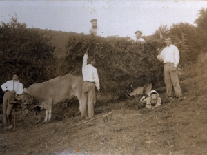 Nekazal lanetan Larraunen