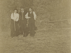 Hiru gizon belar-bilketan