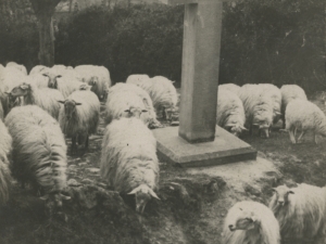 Artaldea gurutze inguruan