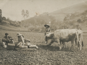 Familia nekazal lanetan