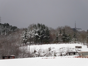 Montes de Beasain nevados