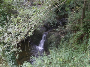 Ibaia samolatzakoa