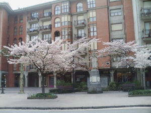 san martin de loinaz