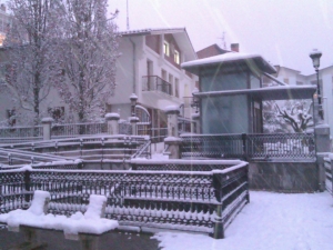 beasaingo jubilatuen hogarra elurtuta