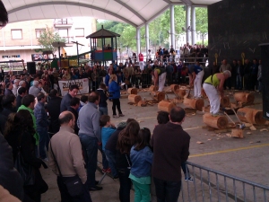 BEASANGO FESTAK 2013