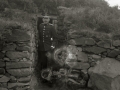 MANIOBRAS MILITARES EN EL CAMPO. (Foto 3/8)