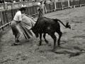 FESTEJOS EN LA PLAZA DE TOLOSA, EN LOS QUE TOREAN POR PRIMERA VEZ ANTONIA Y CECILIA URQUIJO. (Foto 7/19)