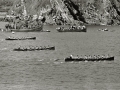 REGATAS DE TRAINERAS EN LA BAHIA DE LA CONCHA. (Foto 109/127)