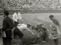 ESCENAS DE ESPECTACULO COMICO TAURINO EN LA PLAZA DE TOROS DE "EL TXOFRE". (Foto 11/19)