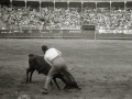 ESCENAS DE ESPECTACULO COMICO TAURINO EN LA PLAZA DE TOROS DE "EL TXOFRE". (Foto 12/19)