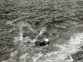 CELEBRACION DE UNA PRUEBA DE PESCA SUBMARINA. (Foto 10/15)