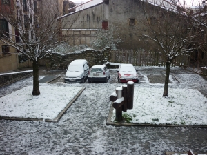 Denda kaleko parkea elurrarekin