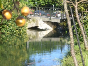 Nisperos y mareas vivas en el puente de la Alameda