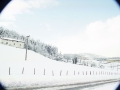 Paisaje nevado