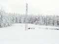 Paisaje nevado