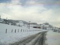 Paisaje nevado