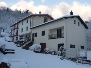 Amunabarro elurretan