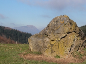 Larrarte trikuharria