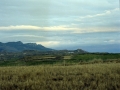 Ikuspegi panoramikoa