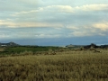 Ikuspegi panoramikoa