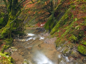 rio en invierno