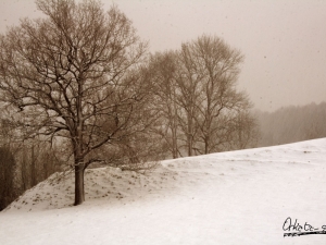 invierno