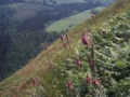 Vista de los alrededores de Peñas de Aia