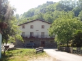 Molino Olaa
