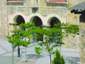 franciscanos