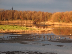 Plaiaundi argia ta itzala