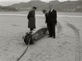 PERSONAS RETIRANDO UN "TORPEDO" ENCONTRADO EN LA PLAYA DE LA CONCHA. (Foto 3/3)