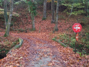 Otoño en Donostia