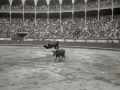 PLAZA DE TOROS DE "EL TXOFRE". (Foto 3/16)