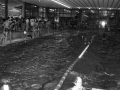 Primer campeonato de natación