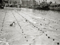 PRUEBA DE NATACION EN EL PUERTO DE SAN SEBASTIAN. (Foto 17/17)