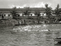 PRUEBA DE NATACION EN EL RIO URUMEA A LA ALTURA DE LOS CUARTELES DE LOIOLA. (Foto 4/5)