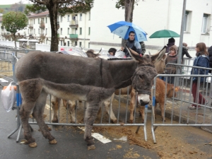 Día de Santa Lucia