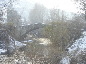 Uharte Arakileko zubia elurtua