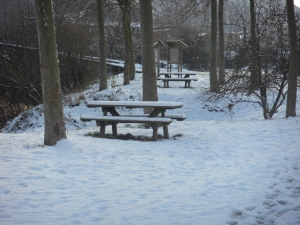 Uharte Arakil elurtua