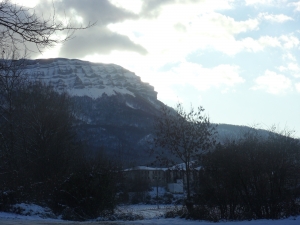 Uharte Arakil elurtua