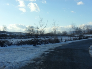 Uharte Arakil elurtua