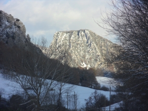 Uharte Arakil elurtua