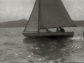 REGATA DE VELEROS EN LA BAHIA DE LA CONCHA. (Foto 1/6)