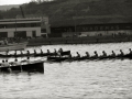 REGATAS DE TRAINERAS EN LA RIA DEL NERVION. (Foto 8/14)
