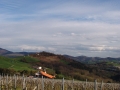 Zarautz  PR Tailamendi