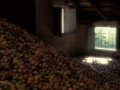 Almacenamiento de manzana en Astigarraga